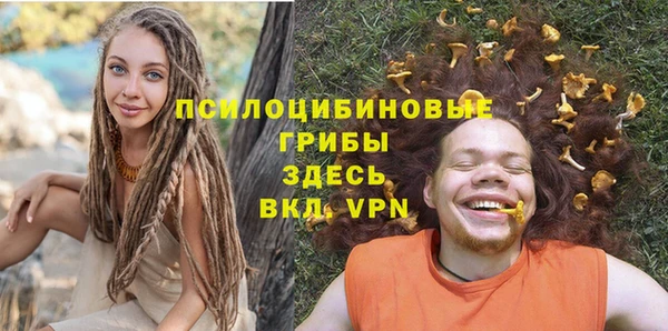 дживик Гусиноозёрск