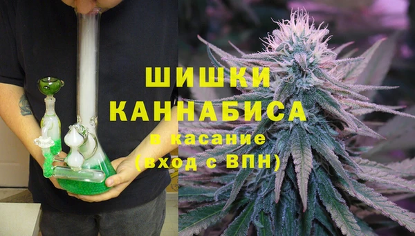 эйфоретик Горняк