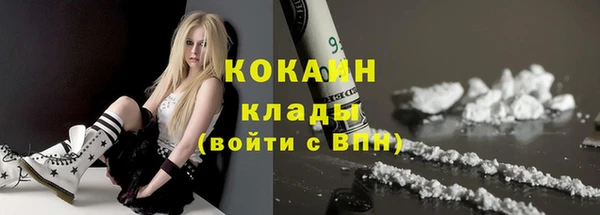 ГАЛЛЮЦИНОГЕННЫЕ ГРИБЫ Гусь-Хрустальный