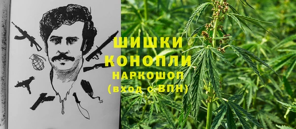 эйфоретик Горняк