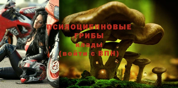 эйфоретик Горняк