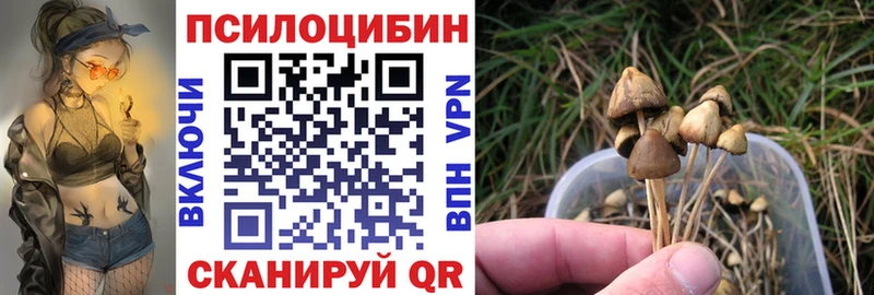 Галлюциногенные грибы MAGIC MUSHROOMS  где найти наркотики  Павловск 